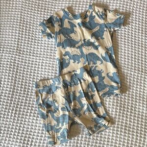 Kids Dinosaur Pajama Set - Blue and Cream